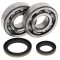 Crankshaft bearing and seal kit All Balls Racing