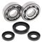 Crankshaft bearing and seal kit All Balls Racing