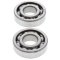 Crankshaft bearing and seal kit All Balls Racing