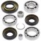 Differential bearing and seal kit All Balls Racing