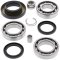 Differential bearing and seal kit All Balls Racing