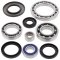 Differential bearing and seal kit All Balls Racing