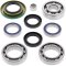 Differential bearing and seal kit All Balls Racing