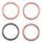 Exhaust gasket kit WINDEROSA