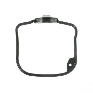 Head cover gasket RMS
