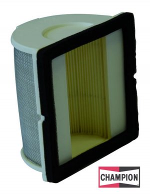Air filter CHAMPION CAF3909