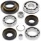 Differential bearing and seal kit All Balls Racing