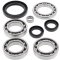 Differential bearing and seal kit All Balls Racing