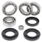 Differential bearing and seal kit All Balls Racing