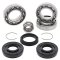 Differential bearing and seal kit All Balls Racing