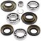 Differential bearing and seal kit All Balls Racing