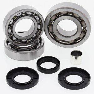 Differential bearing and seal kit All Balls Racing