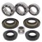 Differential bearing and seal kit All Balls Racing