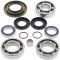 Differential bearing and seal kit All Balls Racing