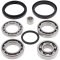 Differential bearing and seal kit All Balls Racing