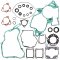 Complete Gasket Kit with Oil Seals WINDEROSA